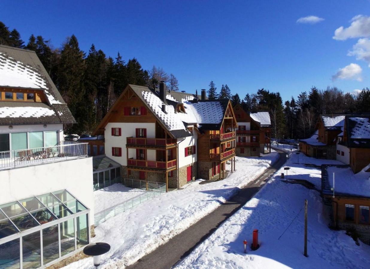 Antela, 142 M2 Appartment For 12 Person In Mariborsko Pohorje Hočko Pohorje Exterior foto